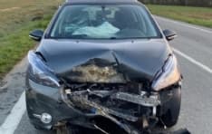 SAN PONSO-BUSANO - Investe un cinghiale sulla Rocchetta: auto distrutta, ferito giovane di Cuorgnè - FOTO