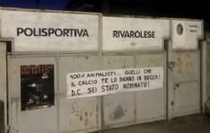 RIVAROLO CANAVESE - A 14 anni uccide un riccio a calci: gli animalisti si vendicano con uno striscione - FOTO