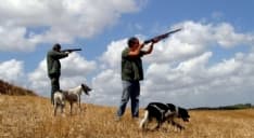 FRONT CANAVESE - Cacciatore ferito con un colpo di fucile: tragedia sfiorata nei boschi