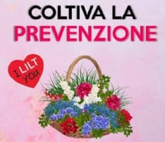RIVAROLO - «Un fiore per la festa della mamma - Coltiva la prevenzione con la Lilt»
