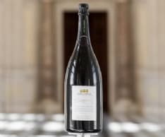 WINE – Alla Reggia di Venaria la Prima dell’Alta Langa