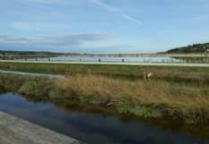 CALUSO - Nuova fase all'istituto Martinetti per il «Progetto Istria»