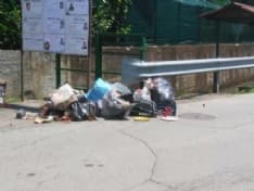 FAVRIA - Bellone alla Pezzetto: è tempo di «taggare i maiali»