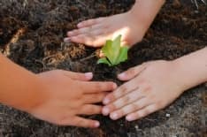 CASTELLAMONTE - Un orto-giardino sociale per via Camillo Olivetti