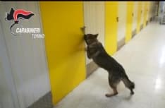 VOLPIANO - «Il nucleo cinofili lavora ad altissimo livello»