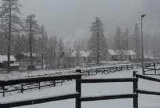 VALLE SOANA - Con la neve salta la corrente: l'Uncem scrive a Enel