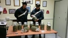 RIVAROSSA - Famiglia spaccia droga: tutti arrestati dai carabinieri