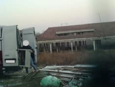 BORGARO - «Maiali» beccati dalle telecamere: 6500 euro di multa