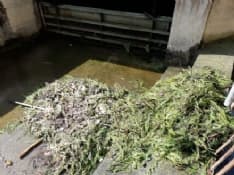 CASTELLAMONTE - Incivili gettano la spazzatura nella roggia - FOTO