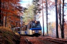 VIAGGI - Il Treno del Foliage, i colori dell'autunno