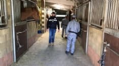 CALUSO - Arrestati al maneggio: la coppia non risponde ai magistrati