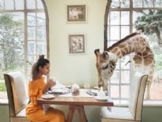 TURISMO - Weekend con le giraffe