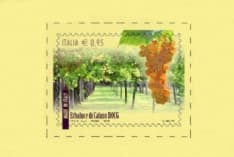 CALUSO - L'eccellenza dell'Erbaluce diventa un francobollo