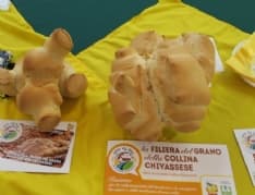 CHIVASSO - Coldiretti vara due progetti per gli antichi grani