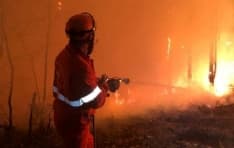 CANAVESE - Incendi boschivi a raffica a causa di vento e siccità: super lavoro per Aib e pompieri - FOTO