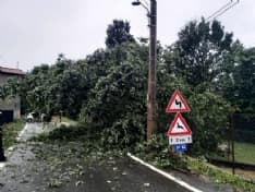 CANAVESE - Nubifragio, villetta colpita da un fulmine a Favria. Decine di alberi abbattuti. Interventi a raffica per i vigili del fuoco - FOTO