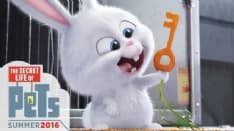 Pets, vita da animali: divertente ma niente scintilla...