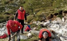 RONCO CANAVESE - Sentieri distrutti dal maltempo, 70 mucche bloccate in quota - FOTO