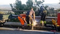 CHIAVERANO - Tre animali morti recuperati in meno di 24 ore - FOTO