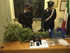 PONT CANAVESE - Piantagione di marijuana in casa: i carabinieri arrestano un'intera famiglia