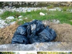 VALPERGA - Tagga il maiale? Esplode il caso dei «vignaioli»