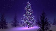 CANAVESE - Tutte le feste di Natale minuto per minuto