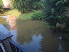 IVREA - Acqua alta per il temporale: finisce a mollo anche il gattile