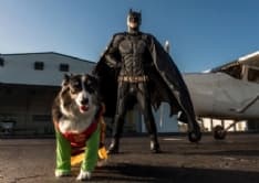 PET - Batman esiste (e salva i cuccioli)