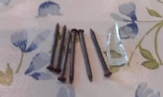 BORGIALLO - Tenta di uccidere il cane con i chiodi e il veleno