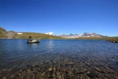 PARCO GRAN PARADISO - Tornano a vivere i laghi alpini: il  progetto Life+Bioaquae funziona