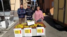 FELETTO - Il Comune regala la mimosa alle donne del paese