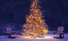 CANAVESE - Tutte le feste di Natale minuto per minuto