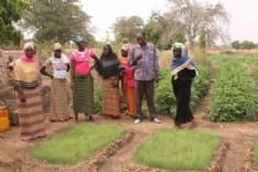 VALLI ORCO E SOANA - Un ponte tra Canavese e Burkina Faso: parte il progetto di cooperazione internazionale