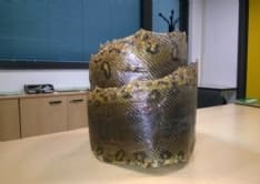 CASELLE - La pelle di un'anaconda nascosta nel bagaglio