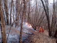 RUEGLIO - Un altro incendio boschivo alimentato dal vento: a rischio alcune baite