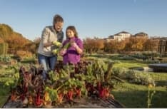 FOOD – Alla Reggia di Venaria il Mercato del Re