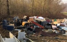 RIVARA - Ladri e maiali in azione alla vecchia discarica - FOTO