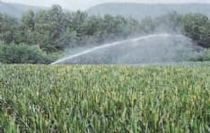 RIVAROLO - Agricoltori a secco: colpa della centrale di Vesignano?