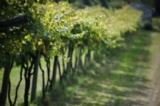 CALUSO - Il Canavese protagonista di «Provincia Incantata»