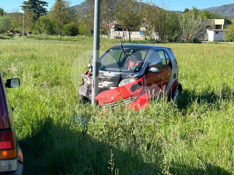 CUORGNE' - Auto si schianta contro un palo della luce: cagnolino morto nell'impatto - FOTO