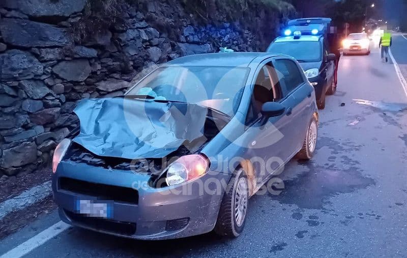 SPARONE - Auto contro cervo sulla 460 del Gran Paradiso: animale morto sul colpo, ferito il conducente della vettura - FOTO