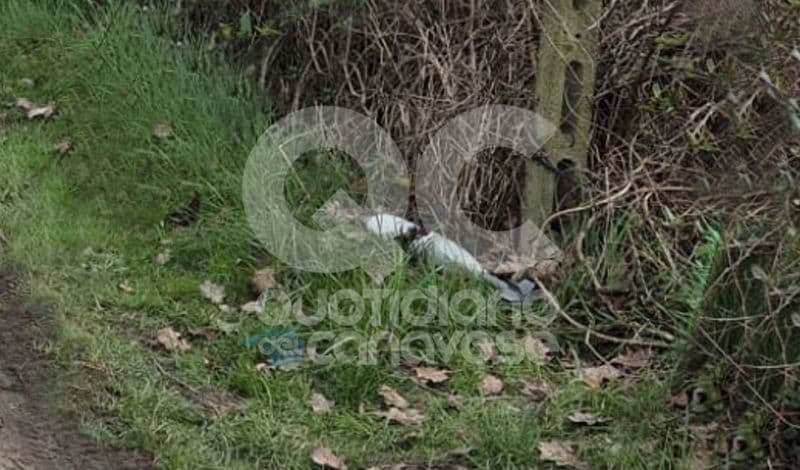 VALPERGA - Trovata una bomba sul ciglio della strada: chiesto l'intervento degli artificieri - FOTO