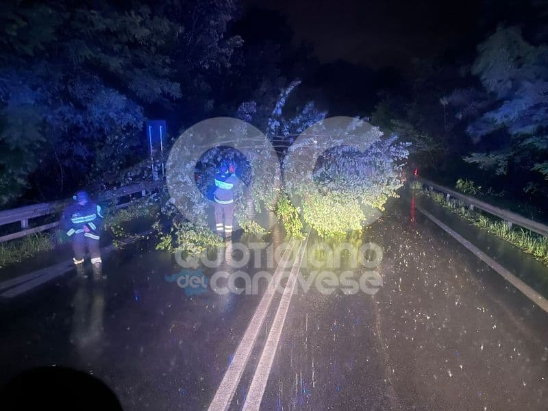 MALTEMPO IN CANAVESE - Forti piogge, alberi in strada e allagamenti: notte di lavoro per i vigili del fuoco - FOTO
