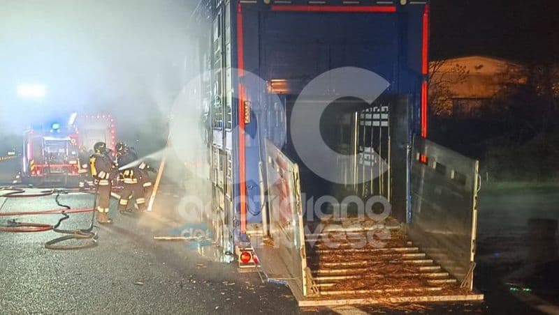 VOLPIANO - Strage di vitelli sull'autostrada, morti nel camion che ha preso fuoco: Torino-Aosta chiusa da San Giorgio Canavese - FOTO