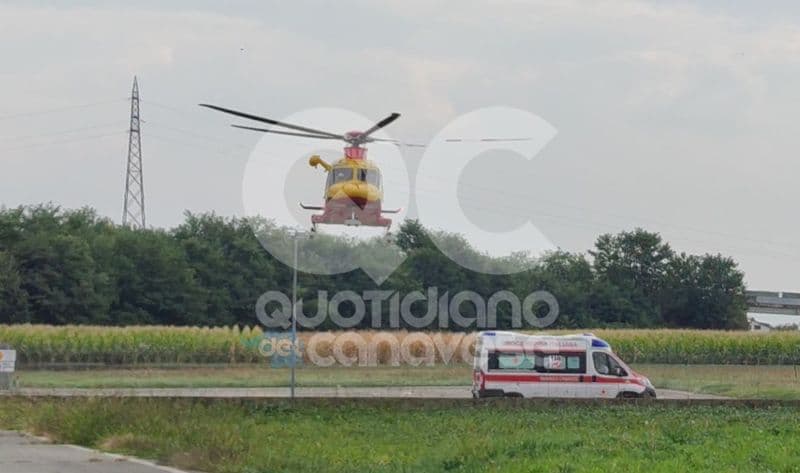 RIVAROLO CANAVESE - Punto in faccia da quattro calabroni va in shock anafilattico: elitrasportato in ospedale - VIDEO