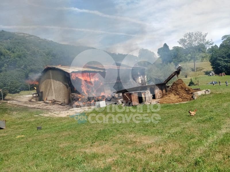 VALCHIUSA - Incendio distrugge cascinale: morti gli animali - FOTO