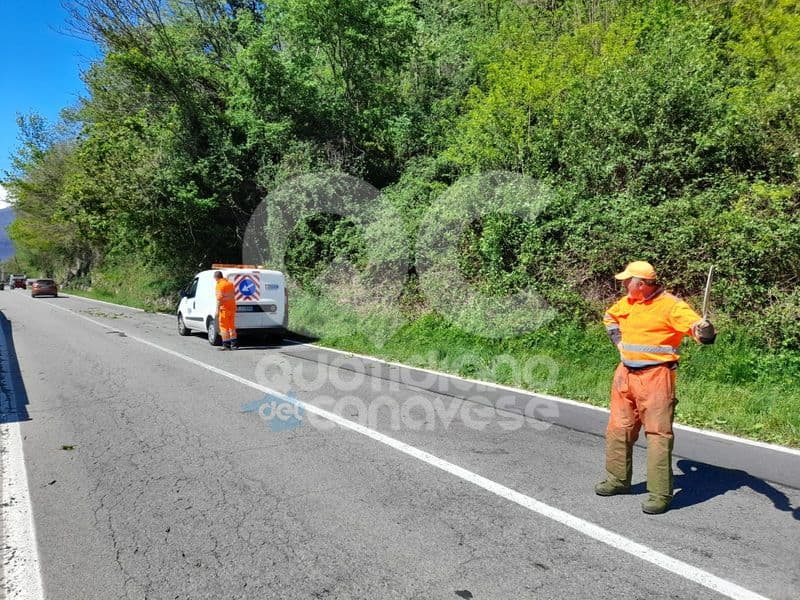 CASTELLAMONTE-CUORGNE' - Forte vento, piante pericolanti a Piova: qualche disagio alla circolazione sulla provinciale - FOTO