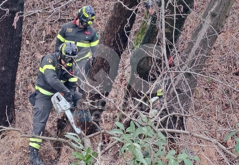 VALPERGA - Pioggia battente, raffica di alberi pericolanti: giornata di lavoro per i vigili del fuoco di Ivrea - FOTO
