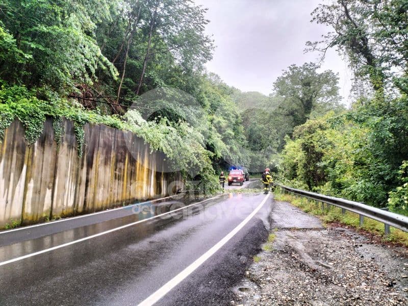 MALTEMPO IN CANAVESE - Allerta arancione. Chiusa la provinciale tra San Martino e Perosa per una frana - FOTO e VIDEO