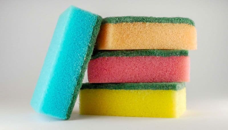 CURIOSITA' - La vita segreta delle spugne da cucina